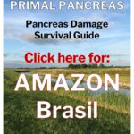 Primal Pancreas EPI Pancreatitis Exocrine Diabetes CFS Amazon Brasil